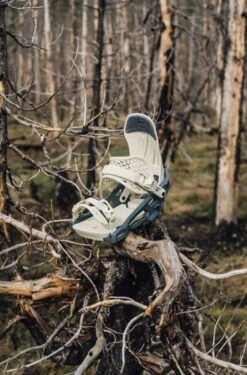 Arbor Ladies Acacia Snowboard Bindings 2021-2022 -Ski Pro Outlet Store New ARBOR 12W acacia w binding 12w689714862