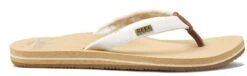 Reef Ladies' Cushion Sands Sandal 2021 -Ski Pro Outlet Store Reef reef ladies cushion sands sandal 2021 275669462 ski pro