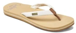 Reef Ladies' Cushion Sands Sandal 2021 -Ski Pro Outlet Store Reef reef ladies cushion sands sandal 2021 78340802 ski pro