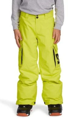DC Youth Bansee Insulated Pants 2021-2022