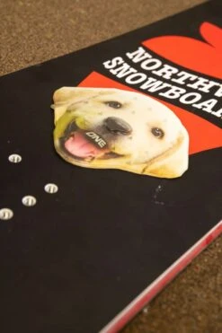 Oneball Lab Stomp Pad 2022-2023 -Ski Pro Outlet Store oneball lab stomp pad 2022 2023 ski pro 952063676