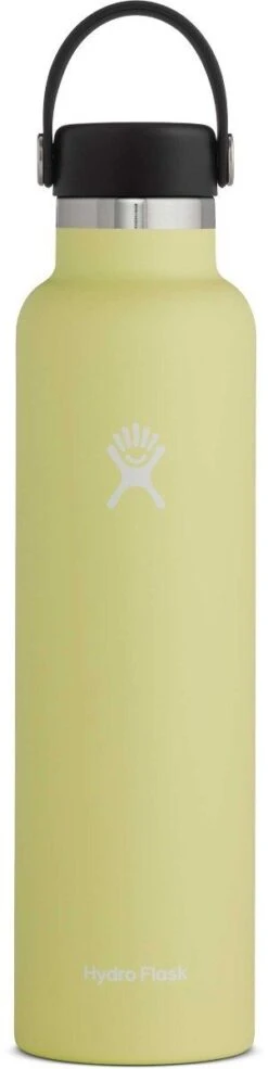 Hydro Flask 24oz Standard Mouth Water Bottle -Ski Pro Outlet Store pineapple