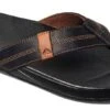 Reef Cushion Phantom LE Sandal 2022