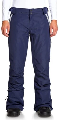 Roxy Ladies' Rushmore 2L GORE-TEX® Insulated Snow Pants 2019-2020 -Ski Pro Outlet Store roxy rushmore 2l gore tex snowboard pants medieval blue 2020 ski pro