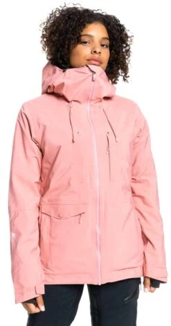 Roxy Ladies Essence Gore-Tex Stretch Jacket 2021-2022 -Ski Pro Outlet Store roxy ladies essence gore tex stretch jacket 2021 2022 562938238