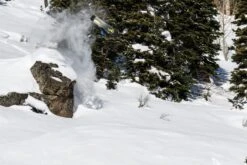 Lib Tech T.Rice Golden Orca Snowboard 2022-2023 -Ski Pro Outlet Store travis rice golden orca snowboard natural selection